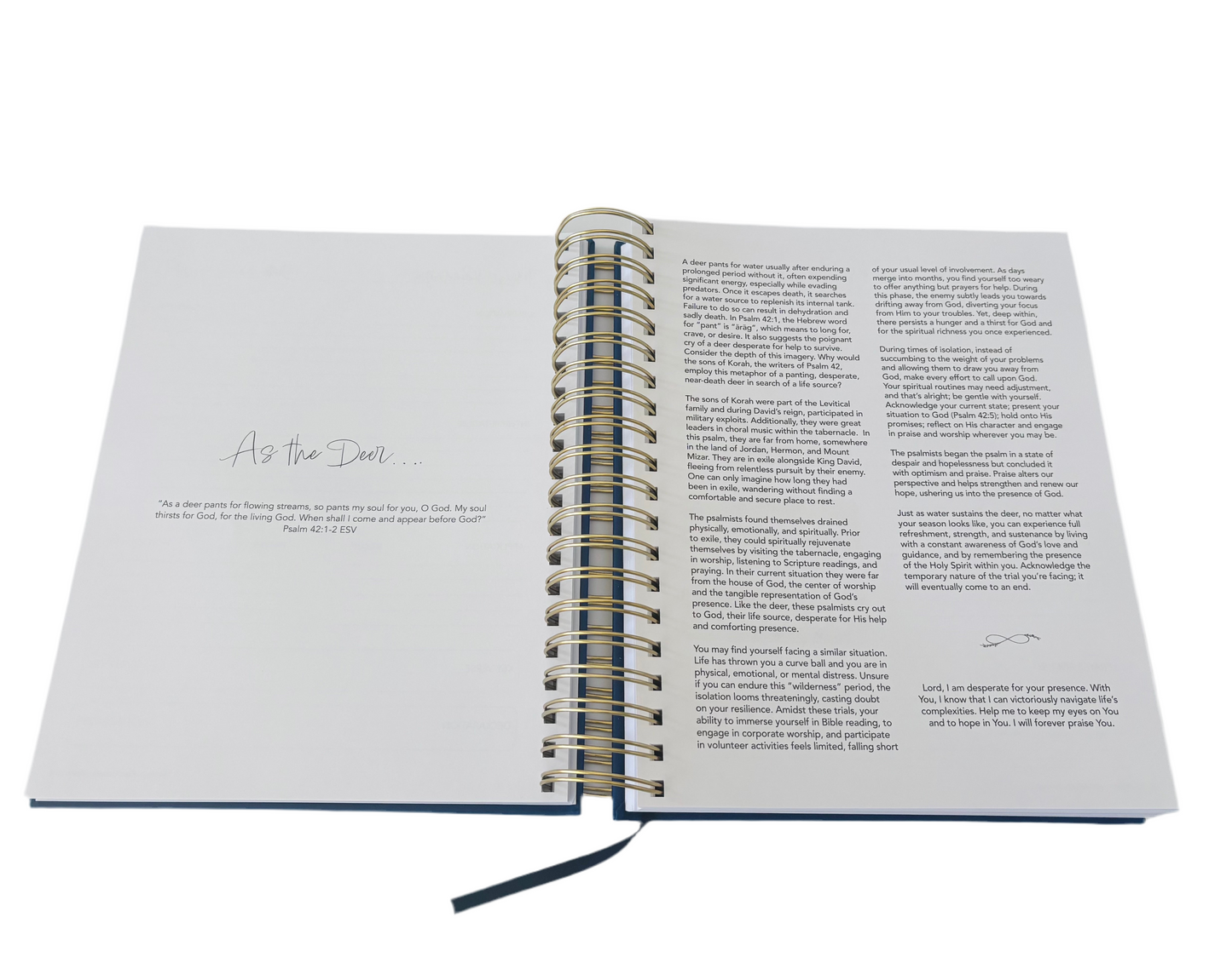 Abide - Bible Study Planner